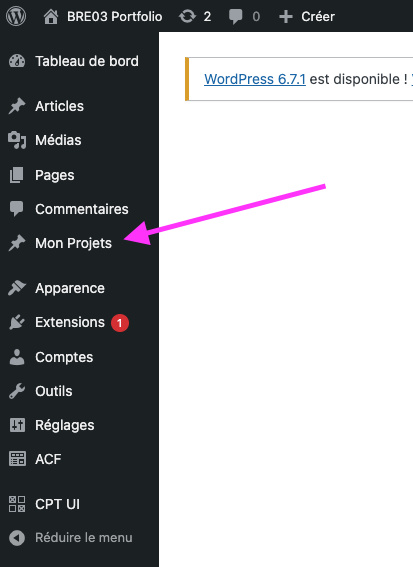 wp cpt ui 4