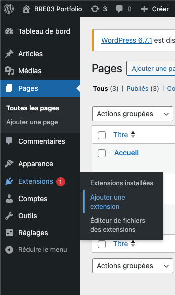 wp extensions 1