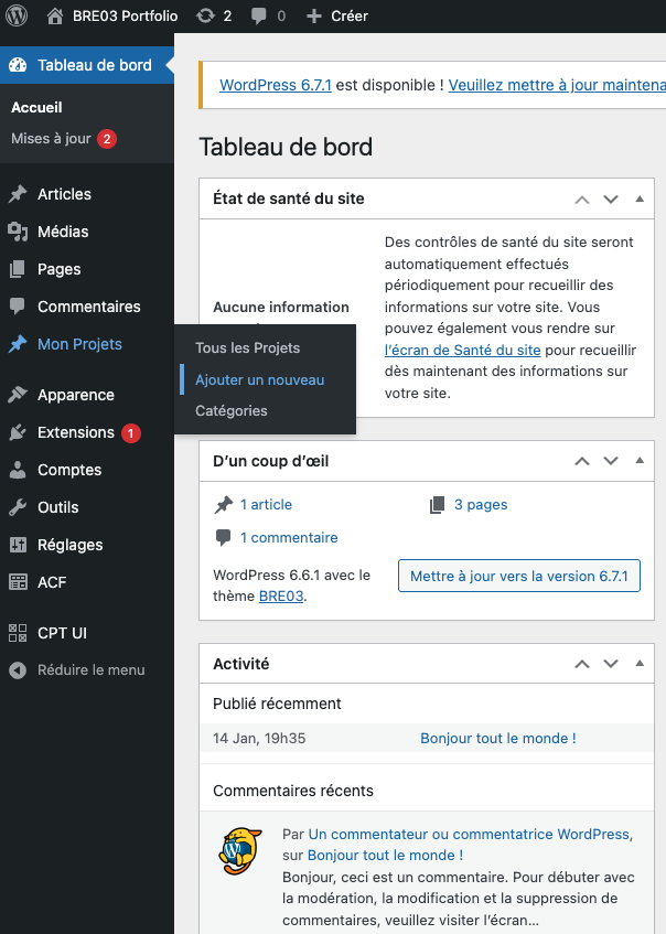 wp projets 1
